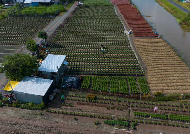航拍照片的花村种植春节假期，天江省图片下载