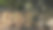 在一个美丽的绿色森林里，用一张餐桌的模糊背景复制咖啡桌上的空间图片下载