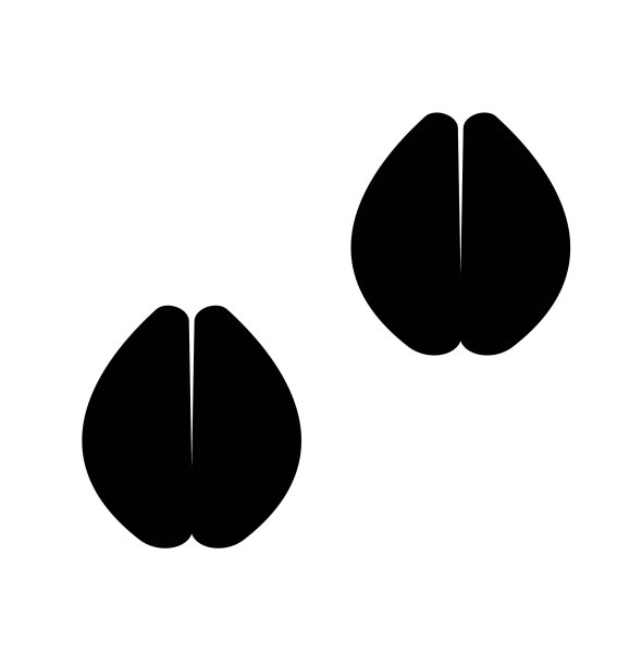 骆驼足迹图标，矢量最好的平面图标。图片下载