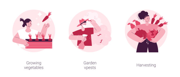 家庭园艺抽象概念矢量插图。图片下载