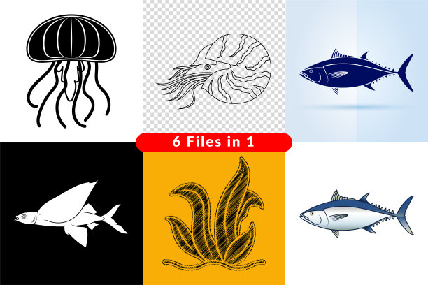 一套海洋世界的插图和图标。图片下载