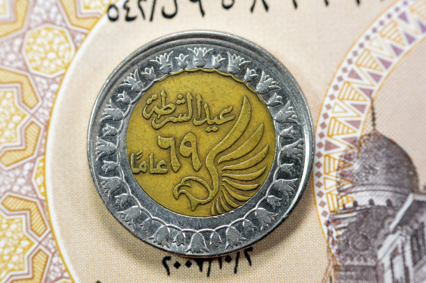埃及镑硬币正面图片下载