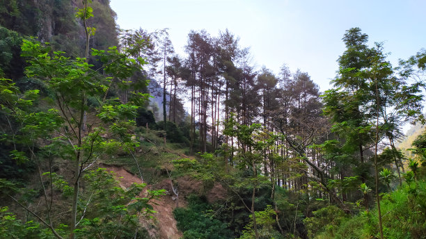 景观山坡热带森林围绕卡利潘瑟瀑布区图片下载