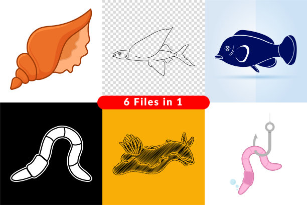 一套海洋世界的插图和图标。图片下载