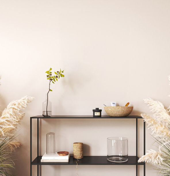 日本波西米亚米色室内走廊与黑色控制台和绿色植物背景。轻现代澳大利亚客厅。3d渲染模拟空墙。高质量3d插图图片下载