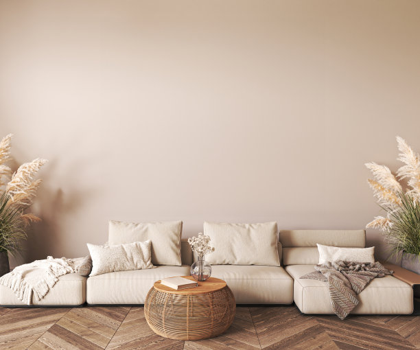 Japanese boho beige interior with lounge sofa, dry flower in vase and plant background. Light modern australian livingroom. 3d rendering mockup. High quality 3d illustration图片下载