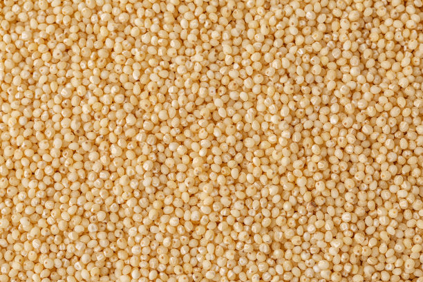 宏观照片蒸粗麦粉。黄粒小麦粉，黑麦，粗粒小麦粉，早餐普遍粥。背景纹理的粗麦粉颗粒。前视图。图片下载