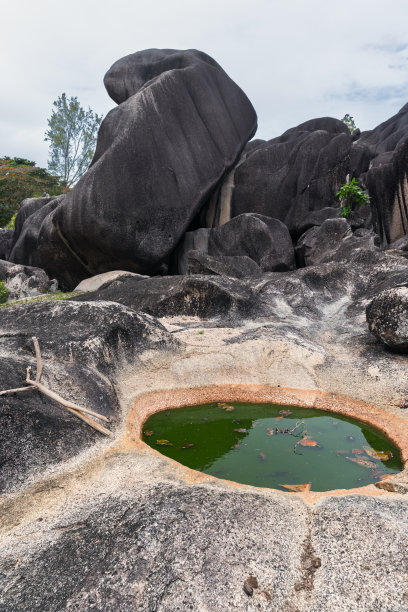 塞舌尔巨型联合岩的黑色石头的垂直景观照片图片下载