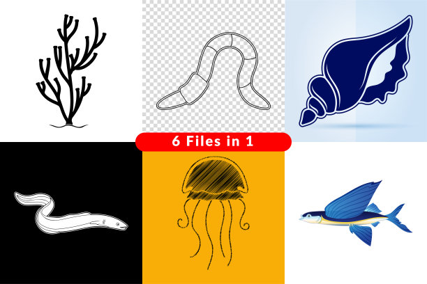 一套海洋世界的插图和图标。图片下载