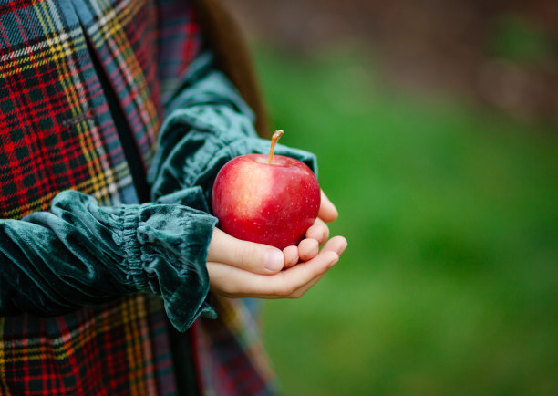 在一张苹果农场的照片上，手拿着一个红苹果图片下载