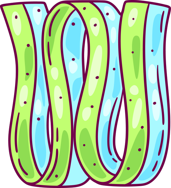 蜜饯图像用于糖果或图片下载