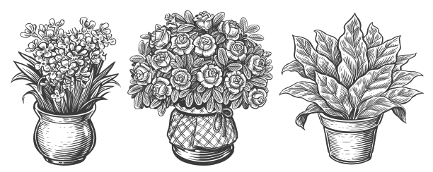 室内植物集雕刻风格室内植物图片下载