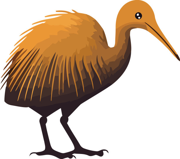 可爱的有羽毛的小鸟图片下载