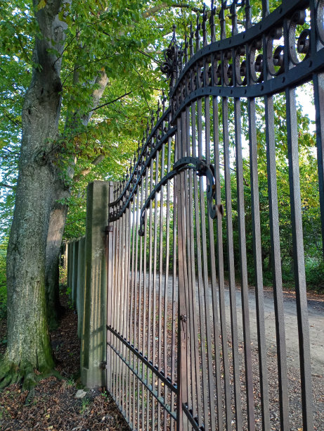 公园里的混凝土栅栏里有一扇漂亮的老铁门。古城门侧面照片。图片下载