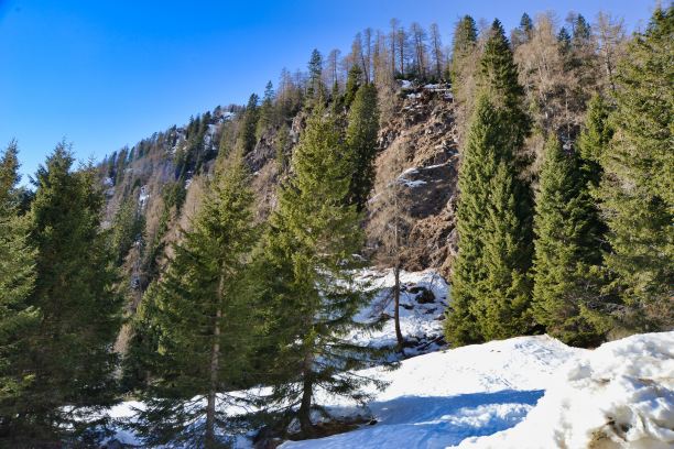 河流在山上，照片图片数码图像，在意大利欧洲阿尔卑斯山山脉特伦托和贝卢诺之间的意大利北部，欧洲图片下载