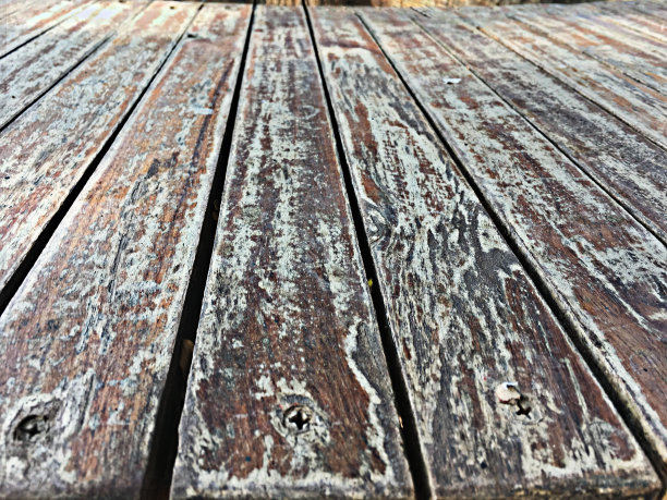 部分老树，老木的背景和纹理图片下载