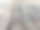 部分老树，老木的背景和纹理图片下载