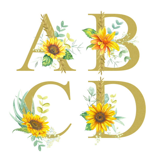 花卉字母集-字母A, B, C, d字母，用向日葵，桉树和各种草药的水彩花装饰。图片下载