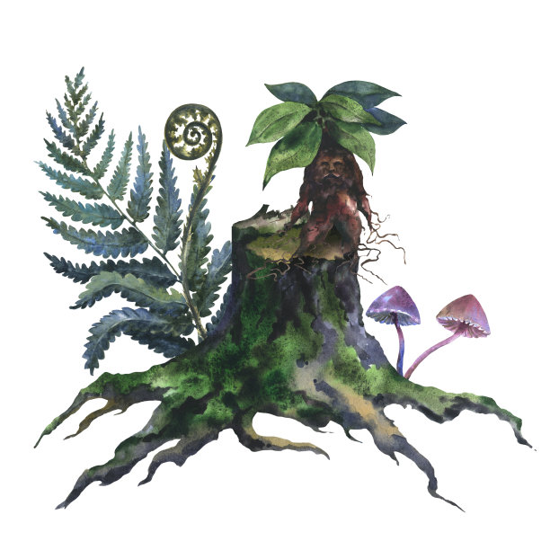 水彩画的一个老树桩，树砍树干与绿色苔藓，蕨类和曼陀罗计划，手绘水彩画在一个白色的背景图片下载