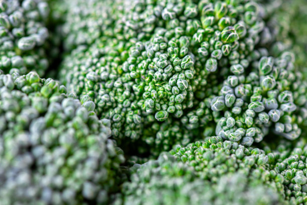 花椰菜的图案。微距照片绿花椰菜质感。新鲜的绿色西兰花蔬菜。蔬菜为饮食和健康食品。有机食品图片下载