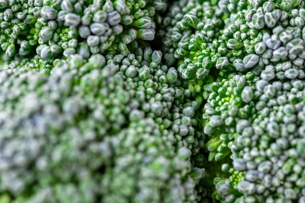 花椰菜的图案。微距照片绿花椰菜质感。新鲜的绿色西兰花蔬菜。蔬菜为饮食和健康食品。有机食品图片下载