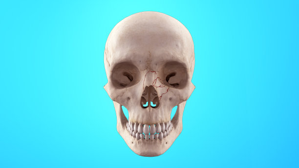 颅鼻骨折图片下载