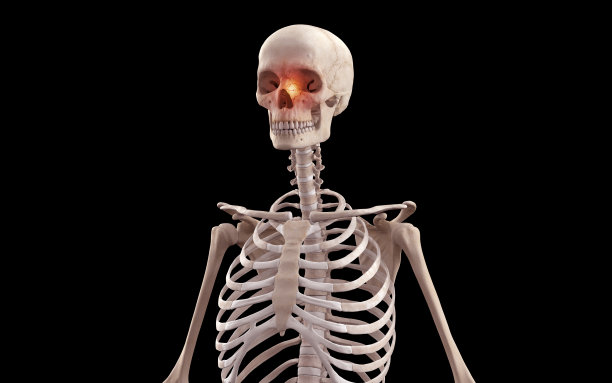 颅鼻骨折图片下载