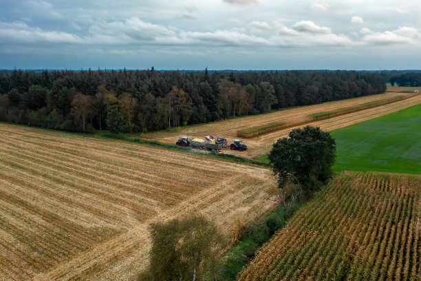 德国Bad Zwischenahn, 2023年9月7日收割和干燥干草。草堆把新割的草变成草堆。无人驾驶飞机的照片。图片下载
