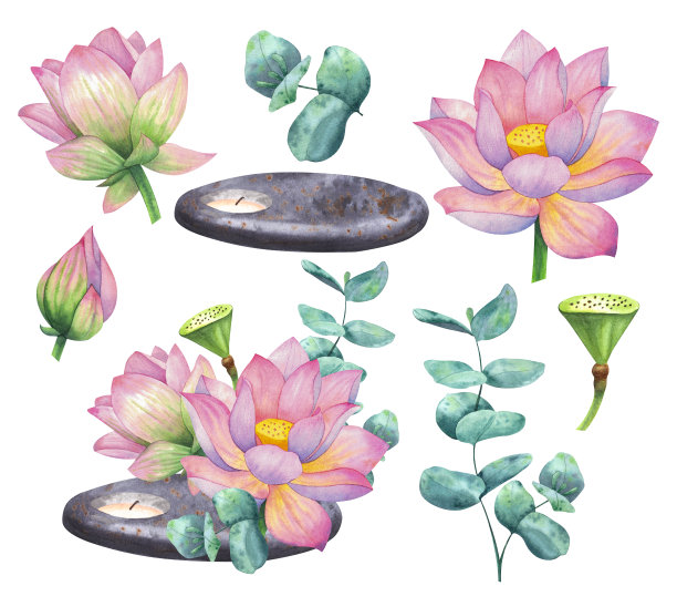 由荷花、桉树和蜡烛组成。图片下载