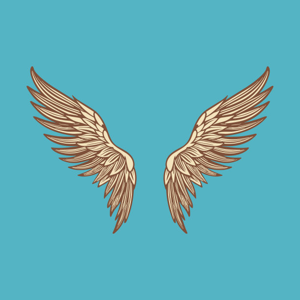 矢量翅膀图标。复古天使翅膀图标，设计模板，剪贴画。丘比特、天使或鸟的翅膀。矢量图图片下载