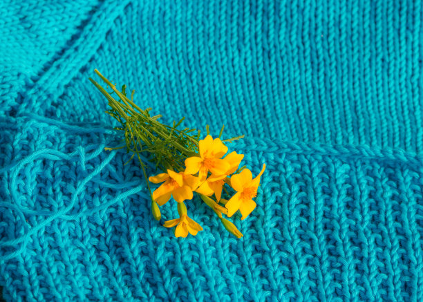 照片与针织品和花在一个古老的木制背景，美丽的纹理，模糊的背景，秋天图片下载