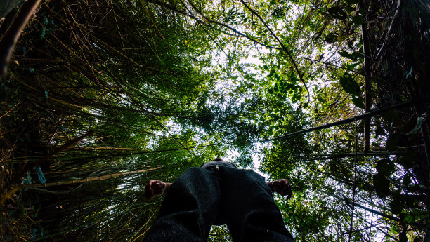 一个人在森林里度假的视角照片图片下载