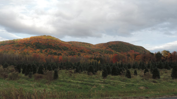2023年秋季图片下载