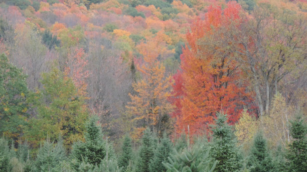 2023年秋季图片下载