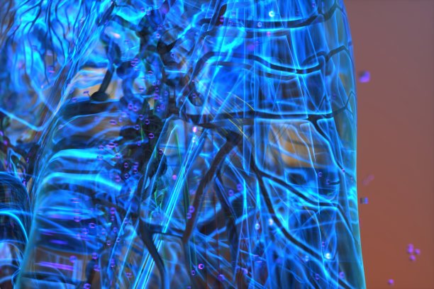 淋巴系统图解图片下载