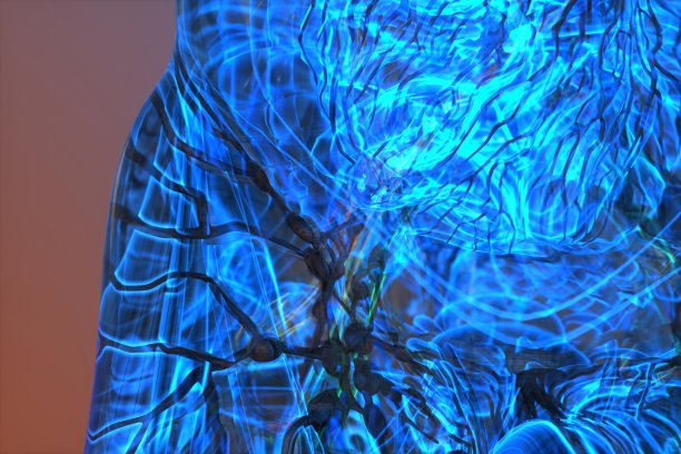 淋巴系统图解图片下载