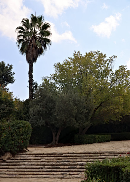 在楼梯上图片下载