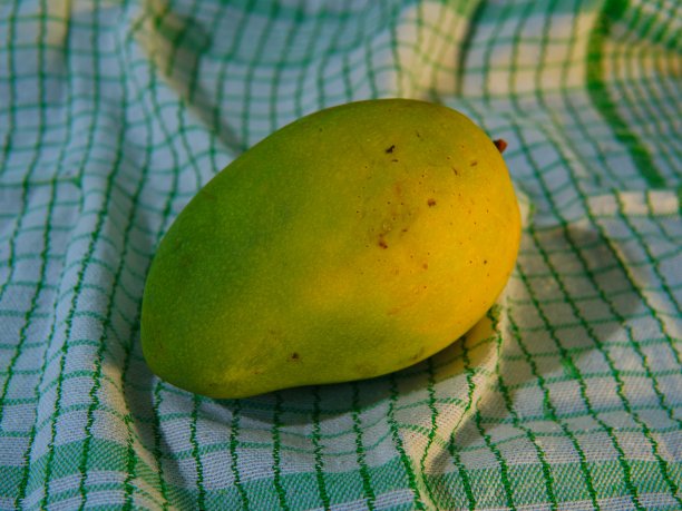 甜美成熟的芒果果实在布料上图片下载