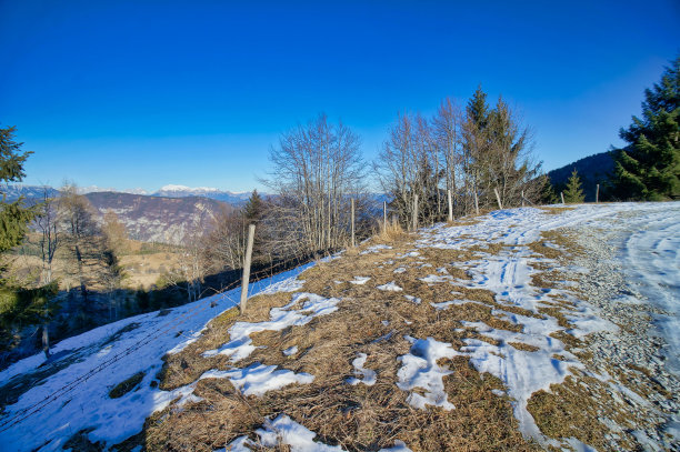 冬天的风景以河流和树木为背景，照片拍摄于意大利北部维琴察的阿尔卑斯山脉图片下载