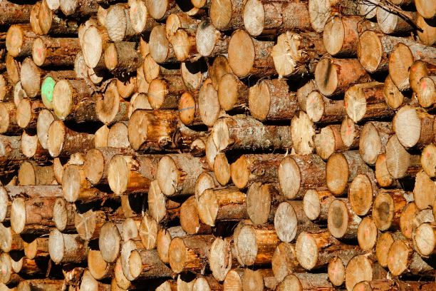 一堆柴火，照片为背景，原木为背景纹理图片下载