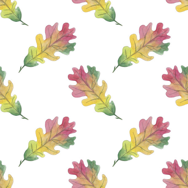水彩画枫树、白桦树叶的秋日无缝图案与孤立的白色背景。美丽多彩的植物插图。艺术设计卡片，纺织品，婚礼请柬，纸张，壁纸。图片下载