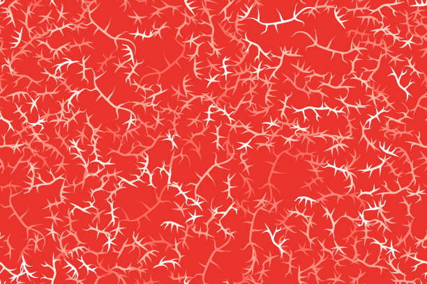 大理石肉或和牛的简单矢量纹理。图片下载