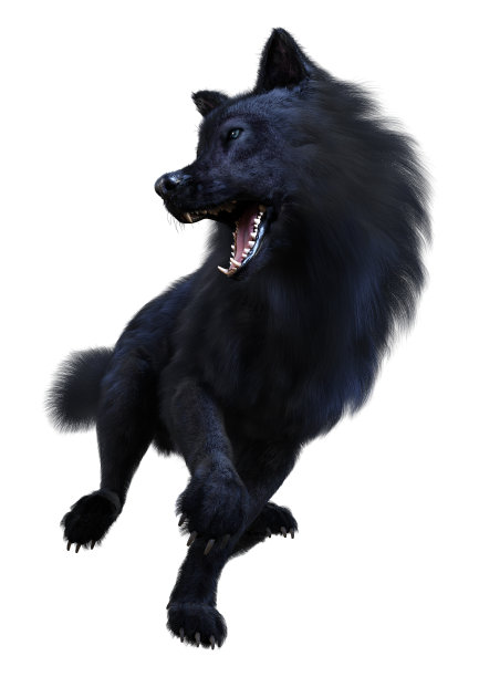 黑狼在白色上的3D渲染图片下载