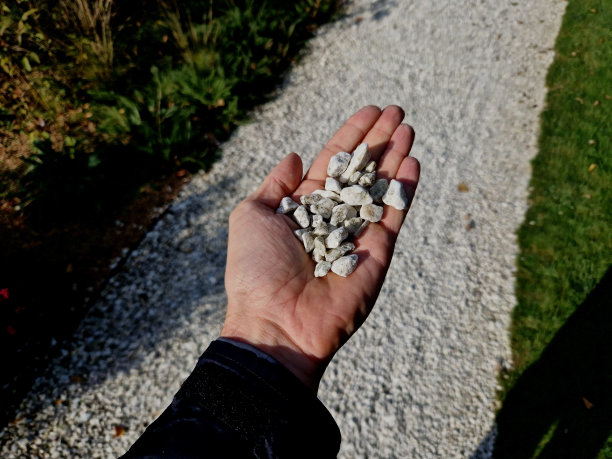 人手里拿着一种大小的石砾或鹅卵石样品。大理石，白色砾石和灰棕色鹅卵石直接从采石场。图片下载