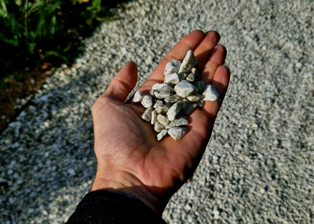 人手里拿着一种大小的石砾或鹅卵石样品。大理石，白色砾石和灰棕色鹅卵石直接从采石场。图片下载