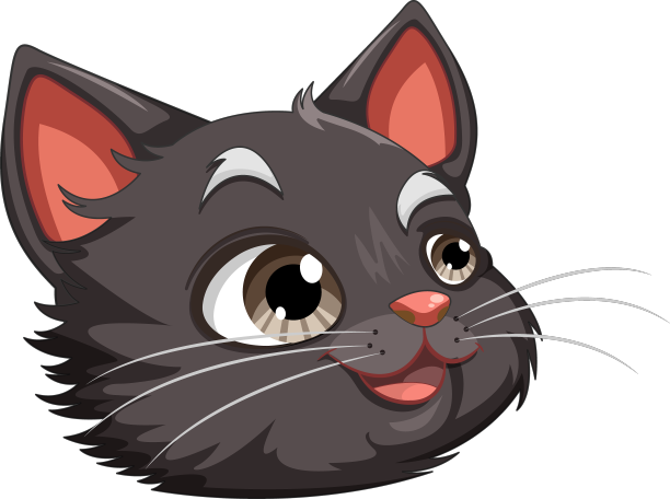有着棕色眼睛的黑猫头部图片下载
