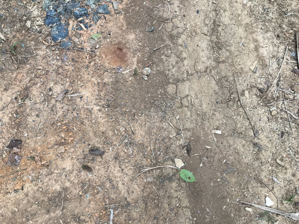 旱季的旱地。干土质地图片下载