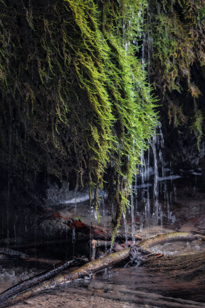 光，水和生命图片下载