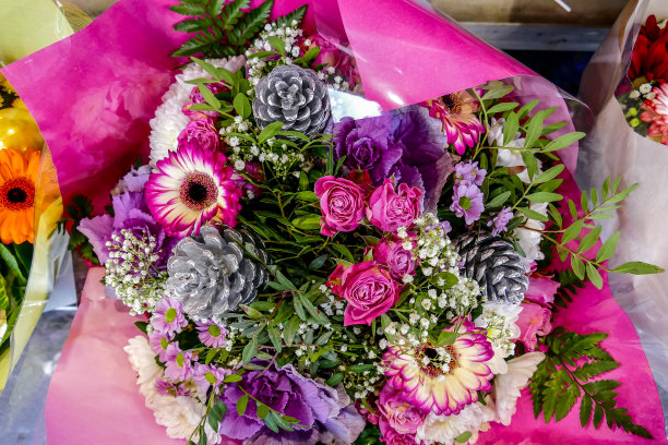 照片图片一束美丽的彩色鲜花图片下载