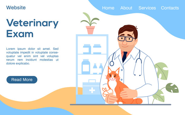 兽医考试登陆页。年轻的男性兽医抱着可爱的猫与受伤的爪子骨折网站模板。可爱动物诊断网站设计。宠物医学矢量插图。图片下载